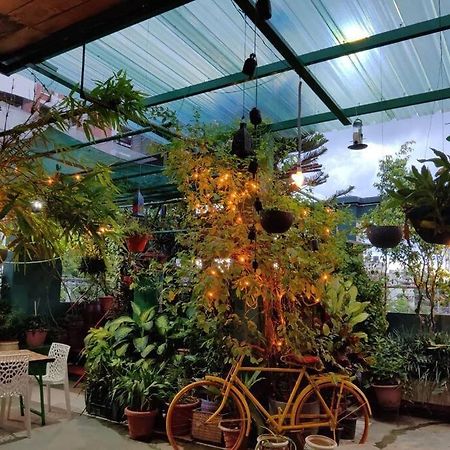 The Nook Rooftop Condo And Garden Guwahati Eksteriør billede