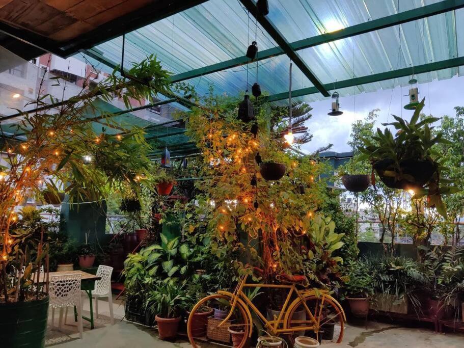 The Nook Rooftop Condo And Garden Guwahati Eksteriør billede